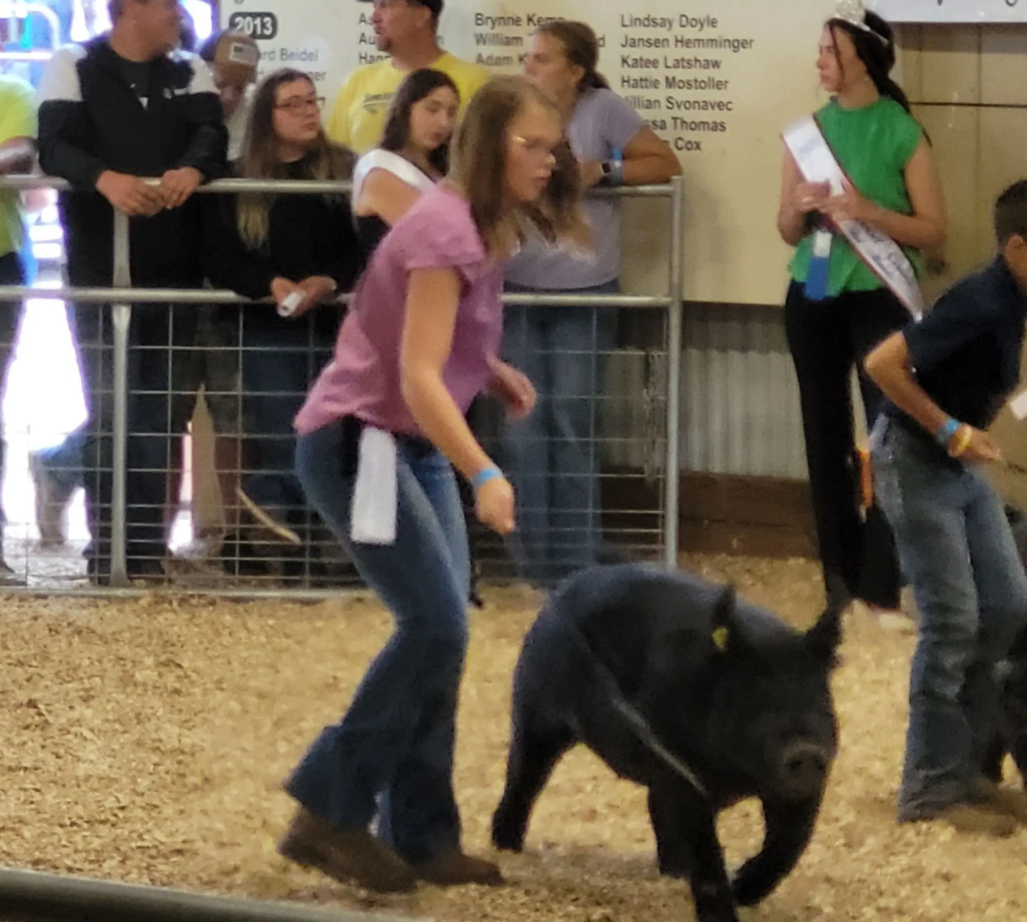 Somerset County Fair 2025. photo 107