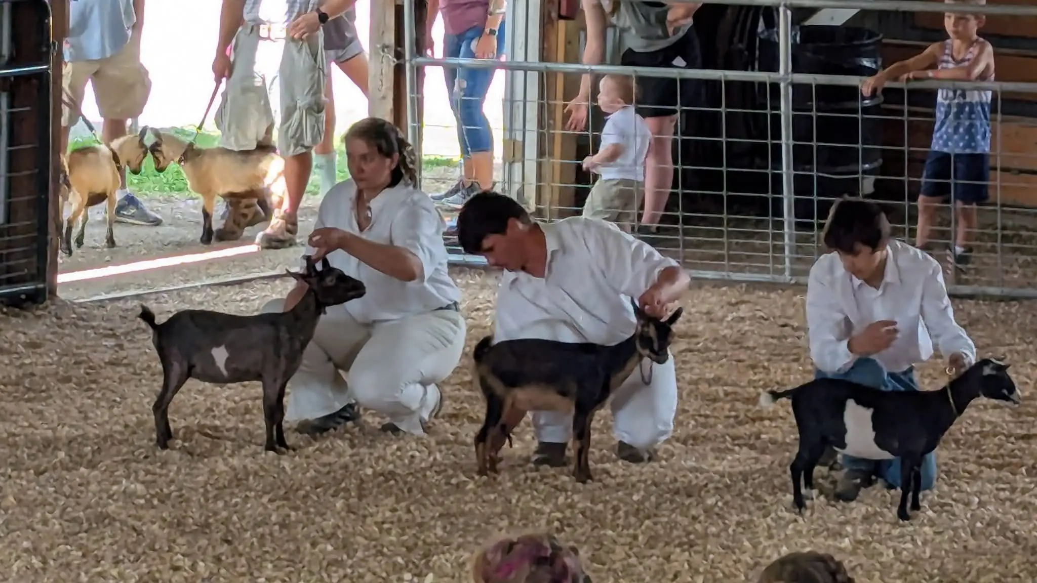 Somerset County Fair 2025. photo 14