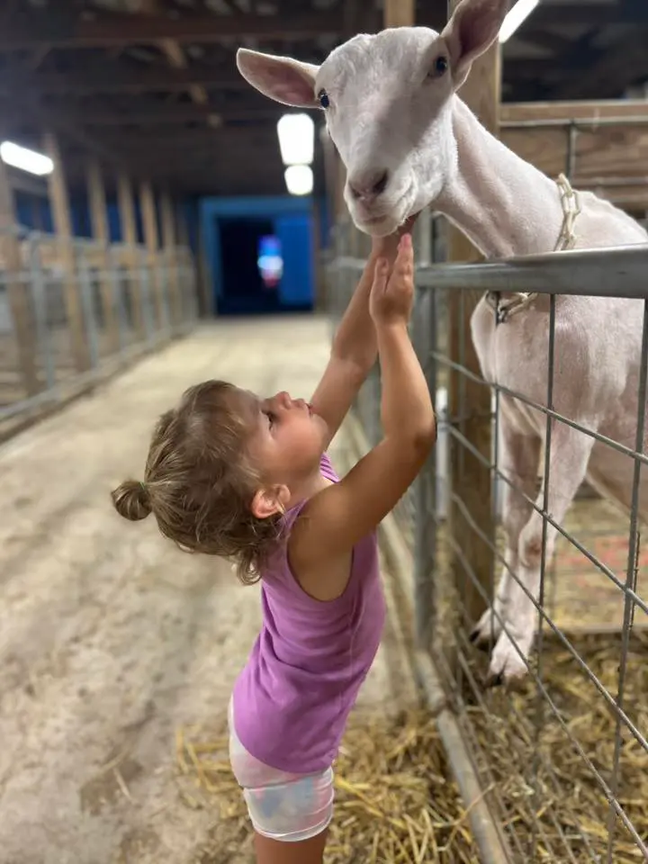 Somerset County Fair 2025. photo 21
