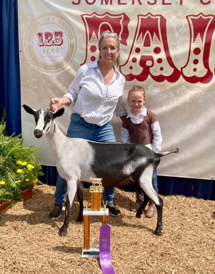 Somerset County Fair 2025. photo 28