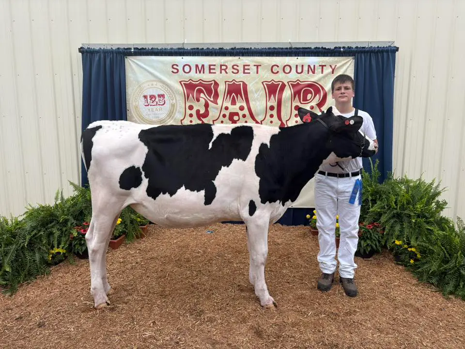 Somerset County Fair 2025. photo 29