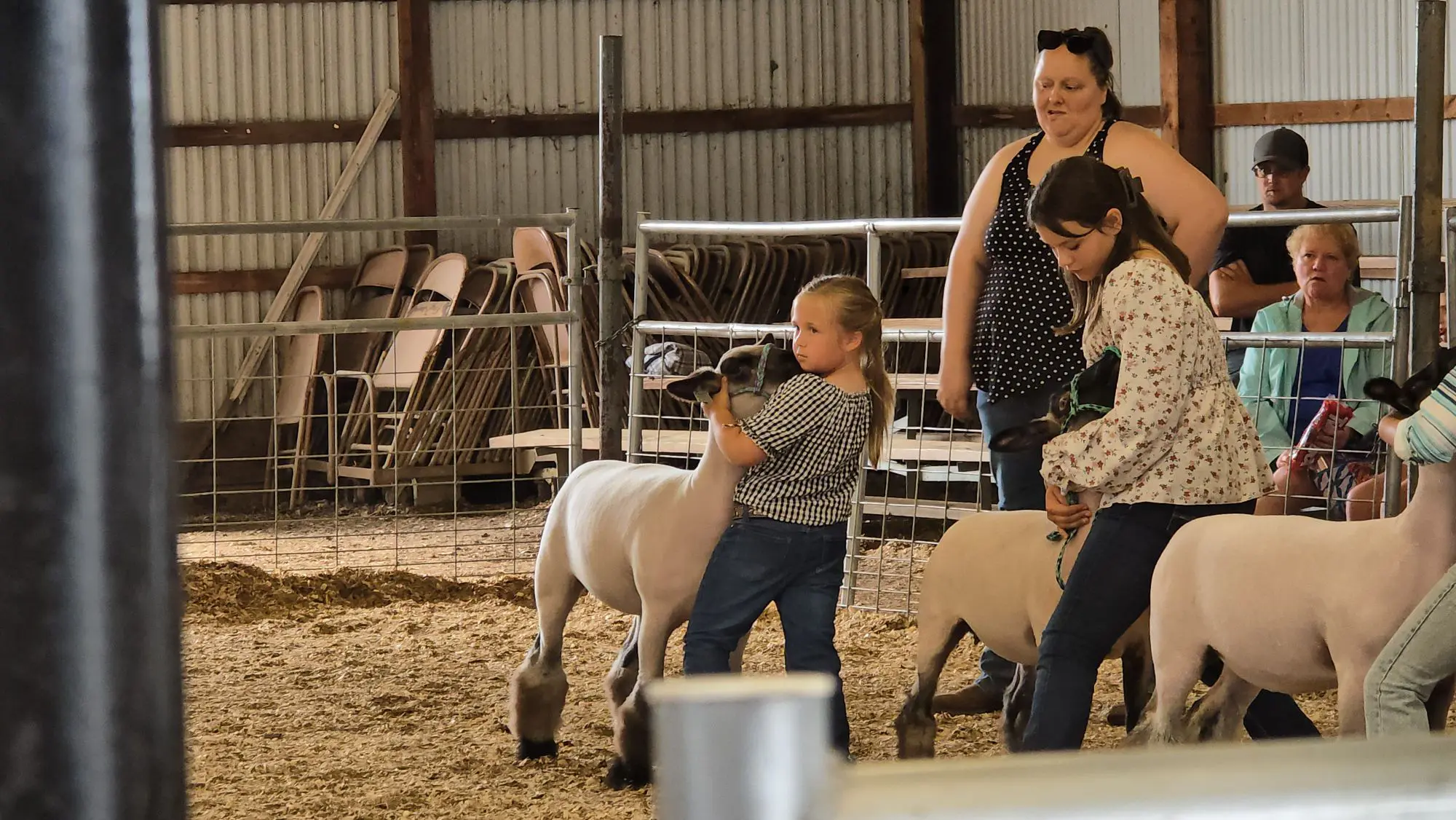Somerset County Fair 2025. photo 34