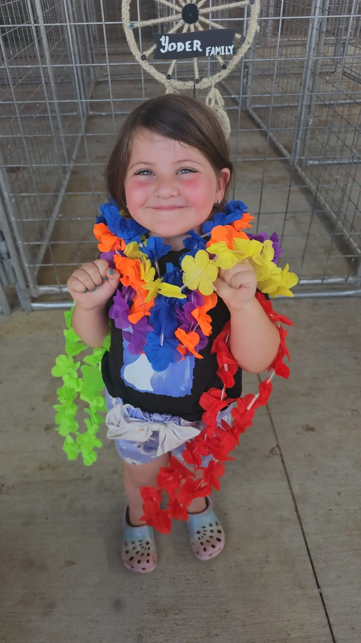 Somerset County Fair 2025. photo 35