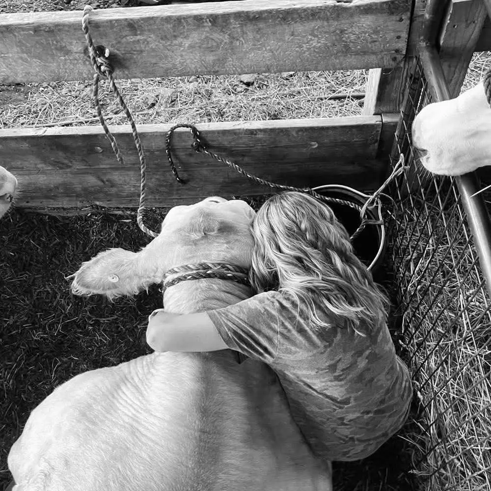 Somerset County Fair 2025. photo 36