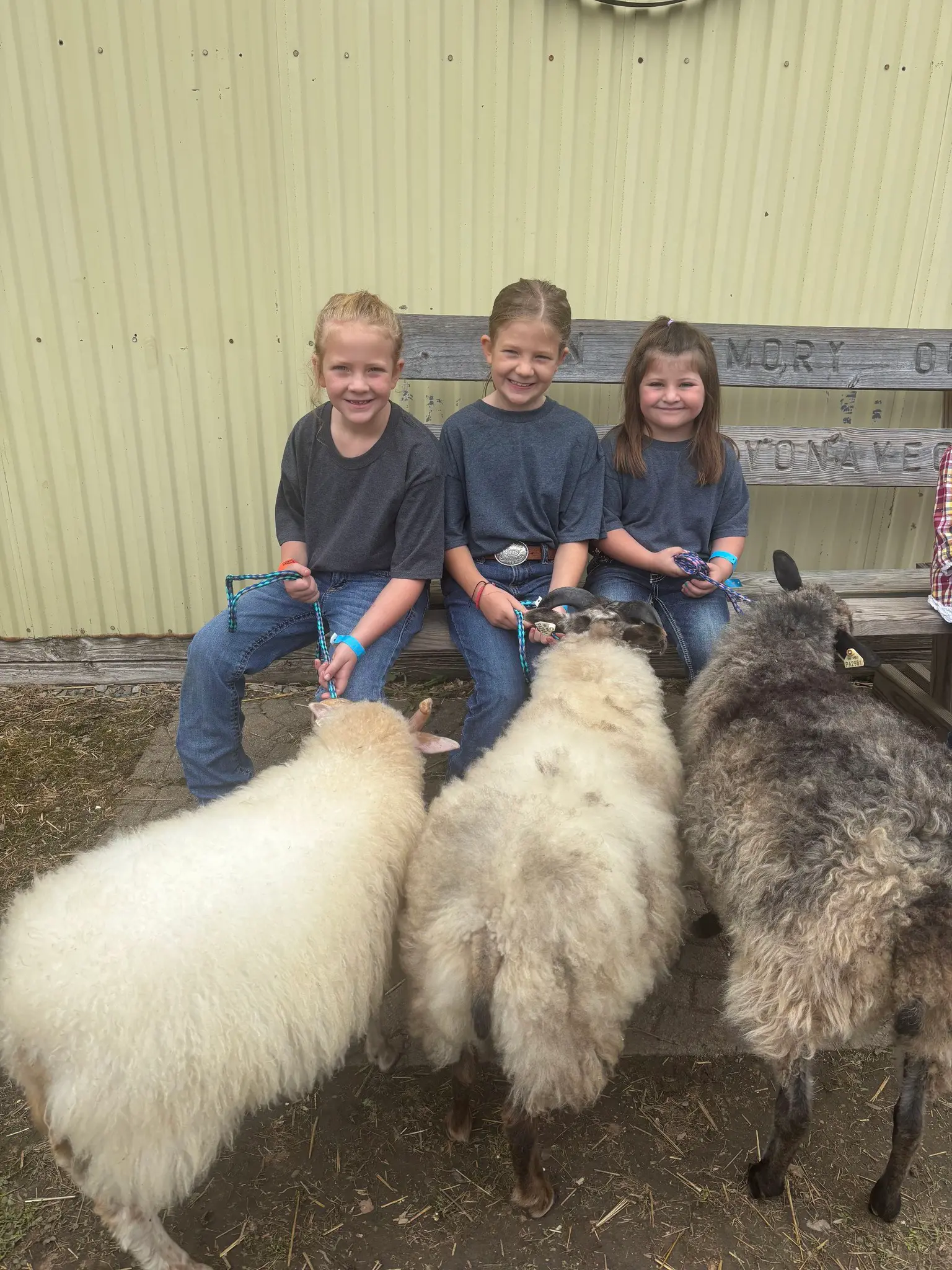 Somerset County Fair 2025. photo 37