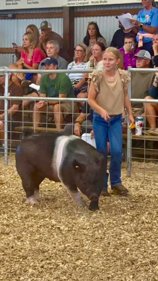 Somerset County Fair 2025. photo 38