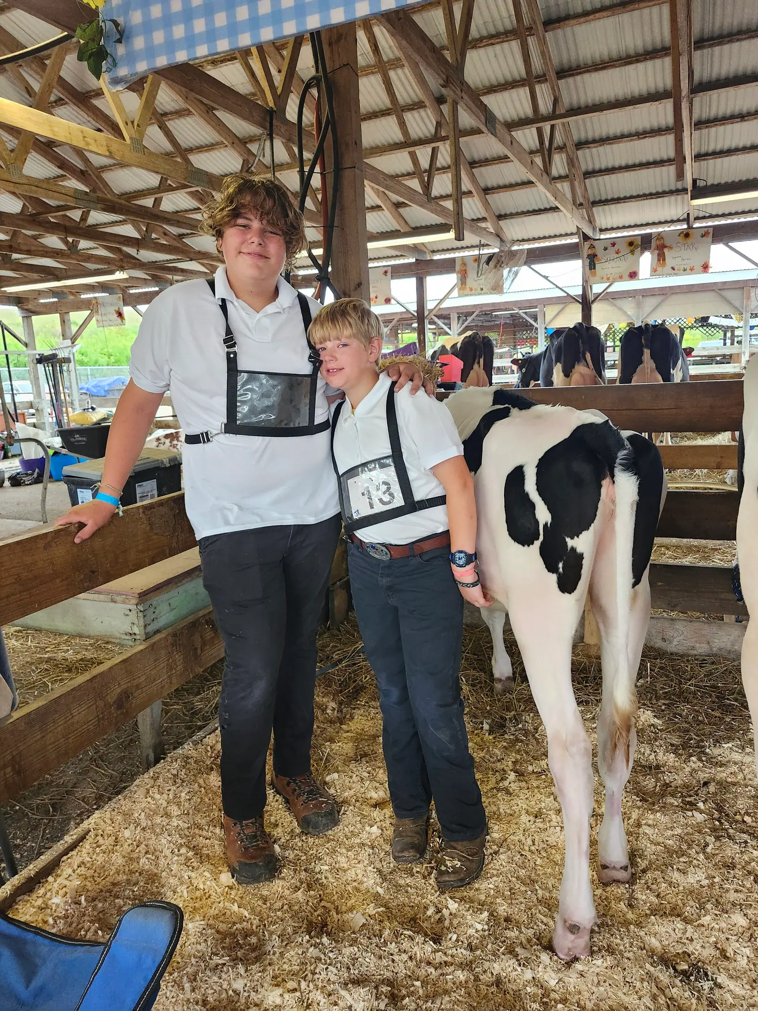 Somerset County Fair 2025. photo 40