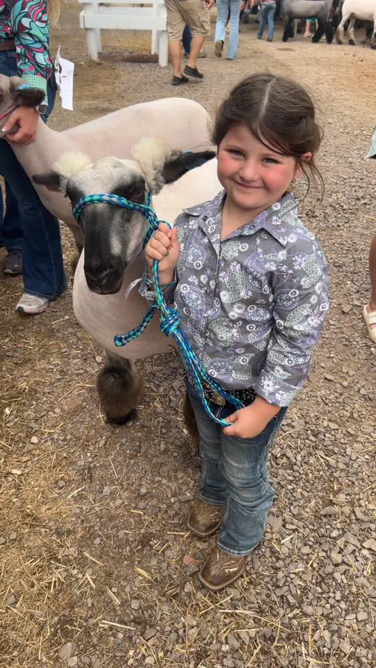 Somerset County Fair 2025. photo 43