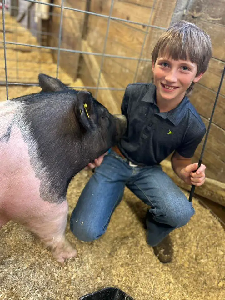 Somerset County Fair 2025. photo 46