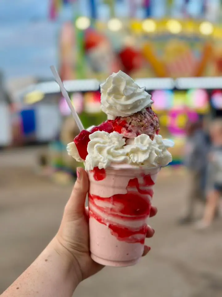 Somerset County Fair 2025. photo 47