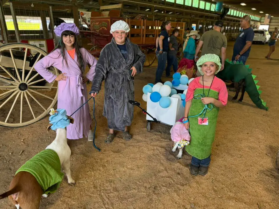 Somerset County Fair 2025. photo 5