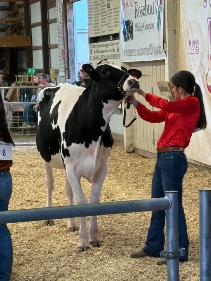 Somerset County Fair 2025. photo 50