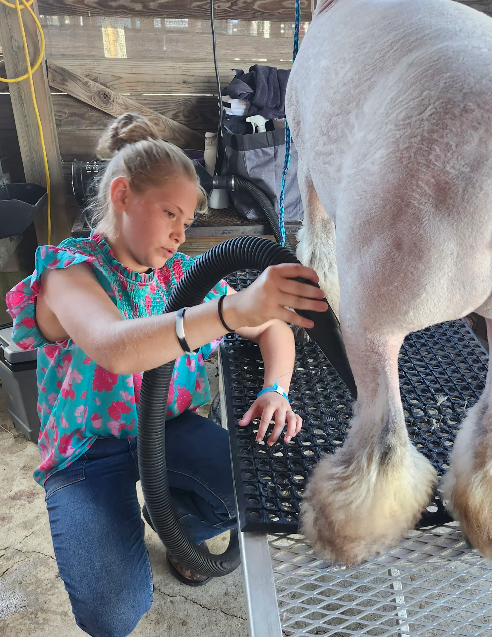 Somerset County Fair 2025. photo 51