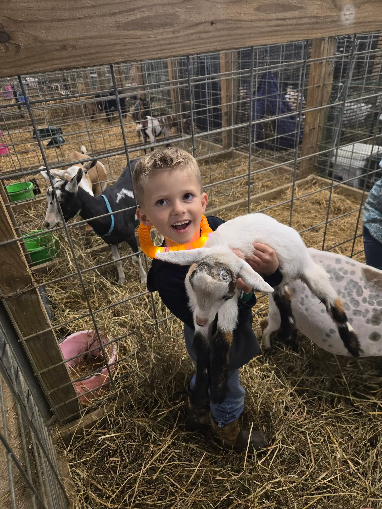 Somerset County Fair 2025. photo 54