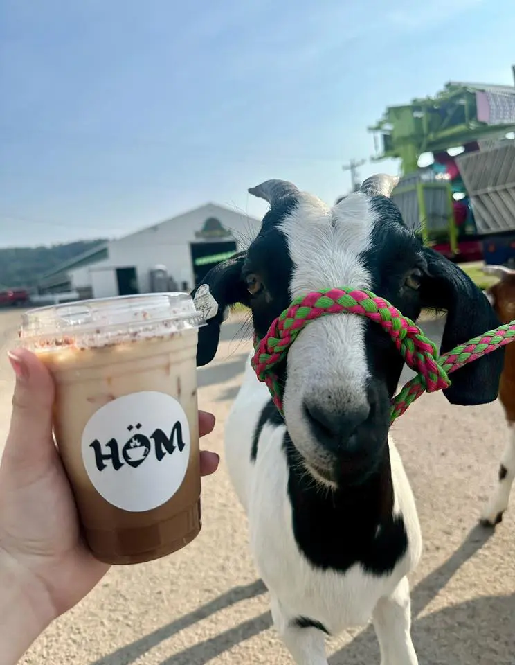 Somerset County Fair 2025. photo 57