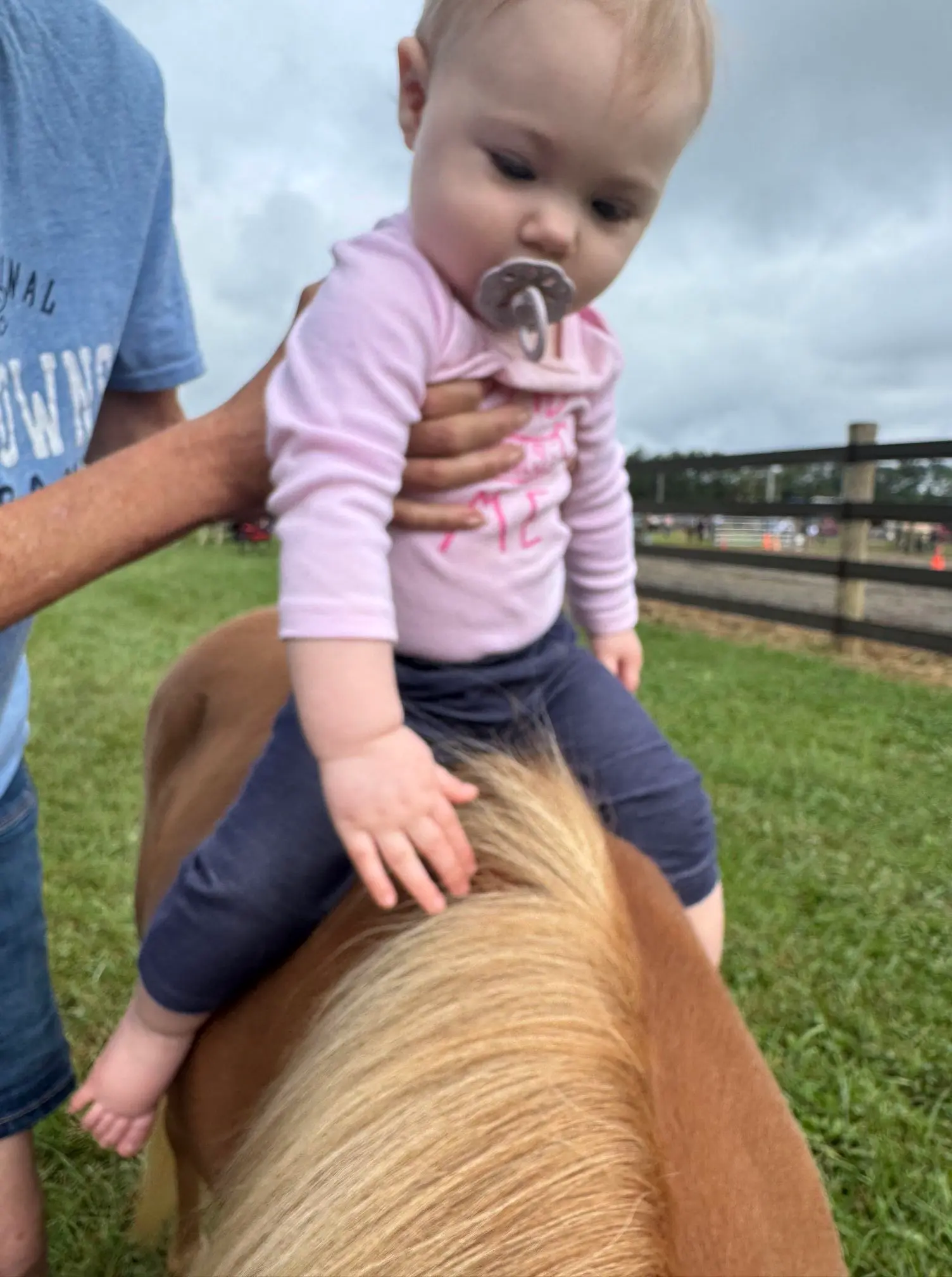 Somerset County Fair 2025. photo 63