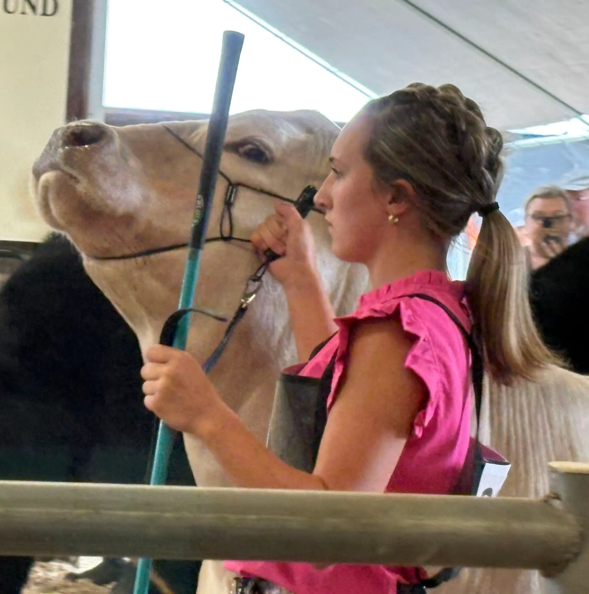 Somerset County Fair 2025. photo 64