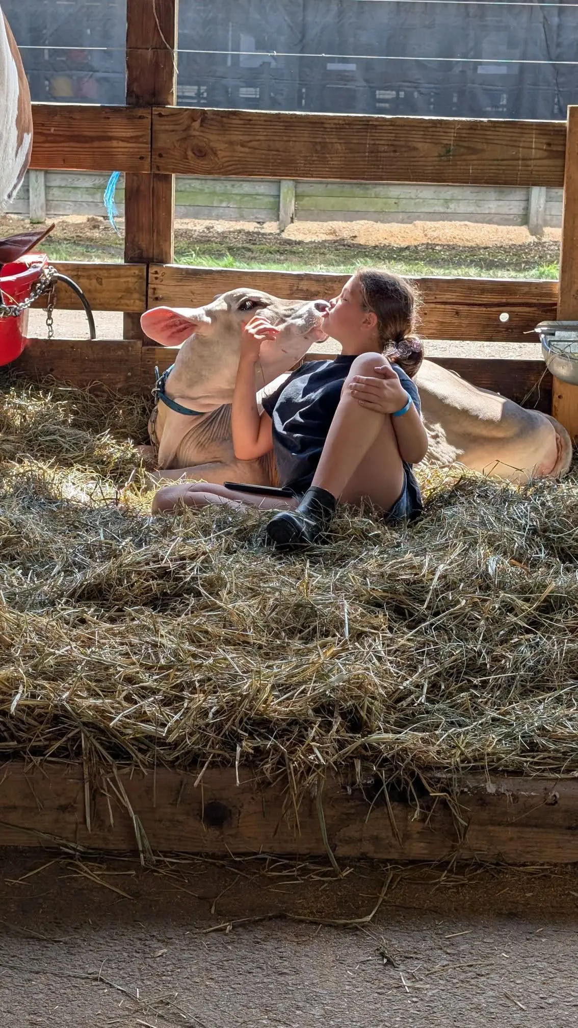 Somerset County Fair 2025. photo 68