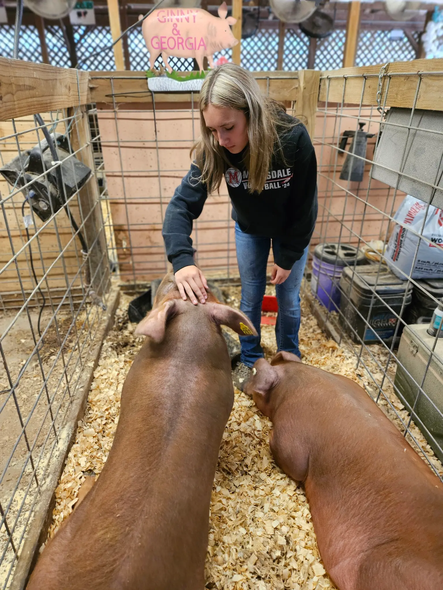 Somerset County Fair 2025. photo 70