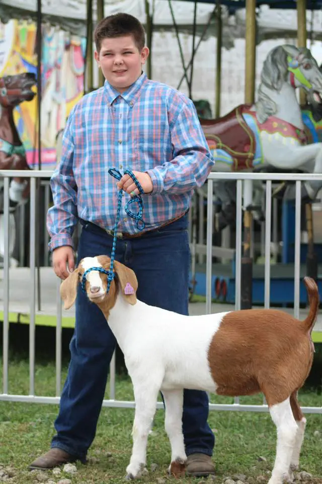 Somerset County Fair 2025. photo 78
