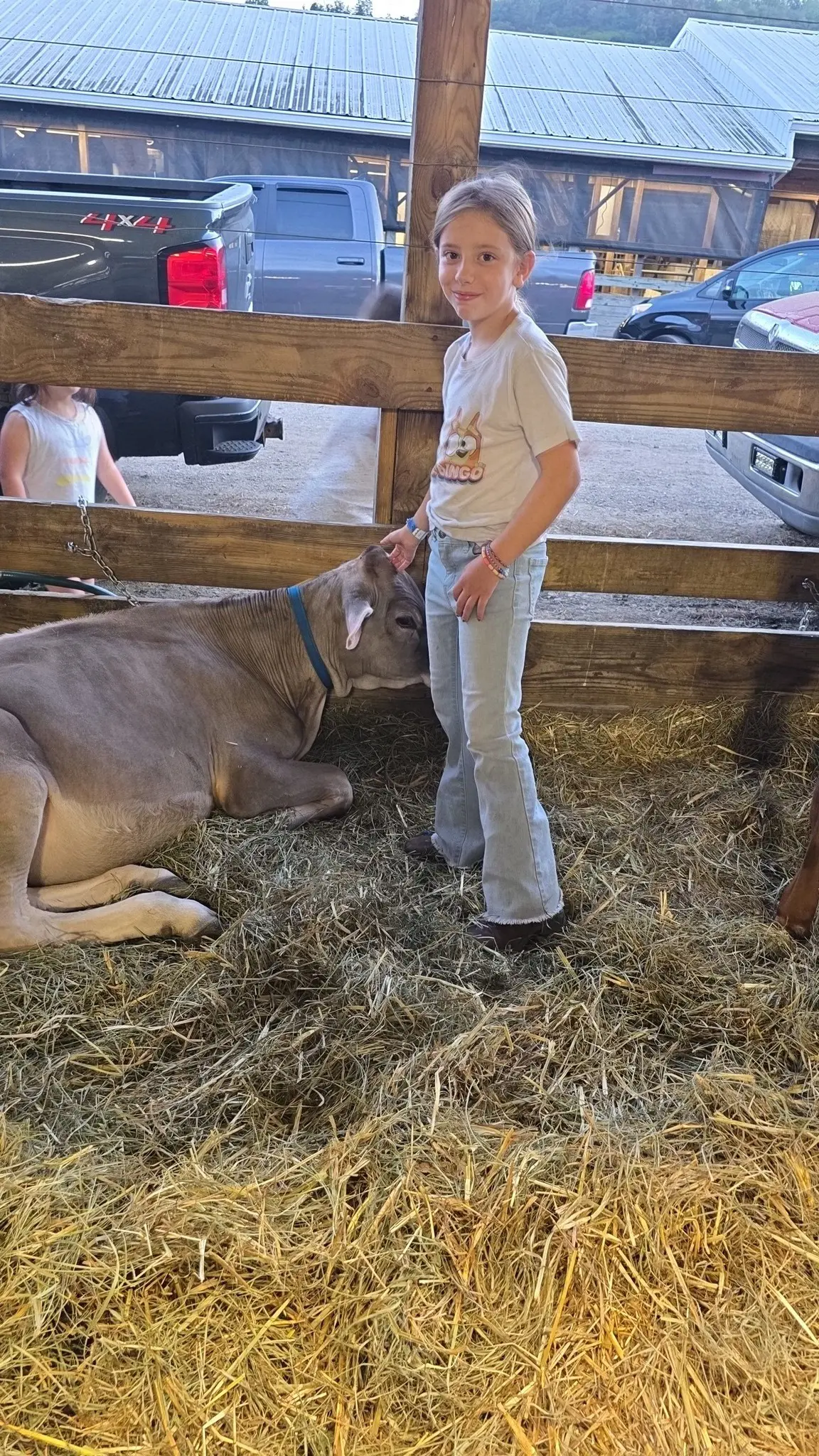 Somerset County Fair 2025. photo 79