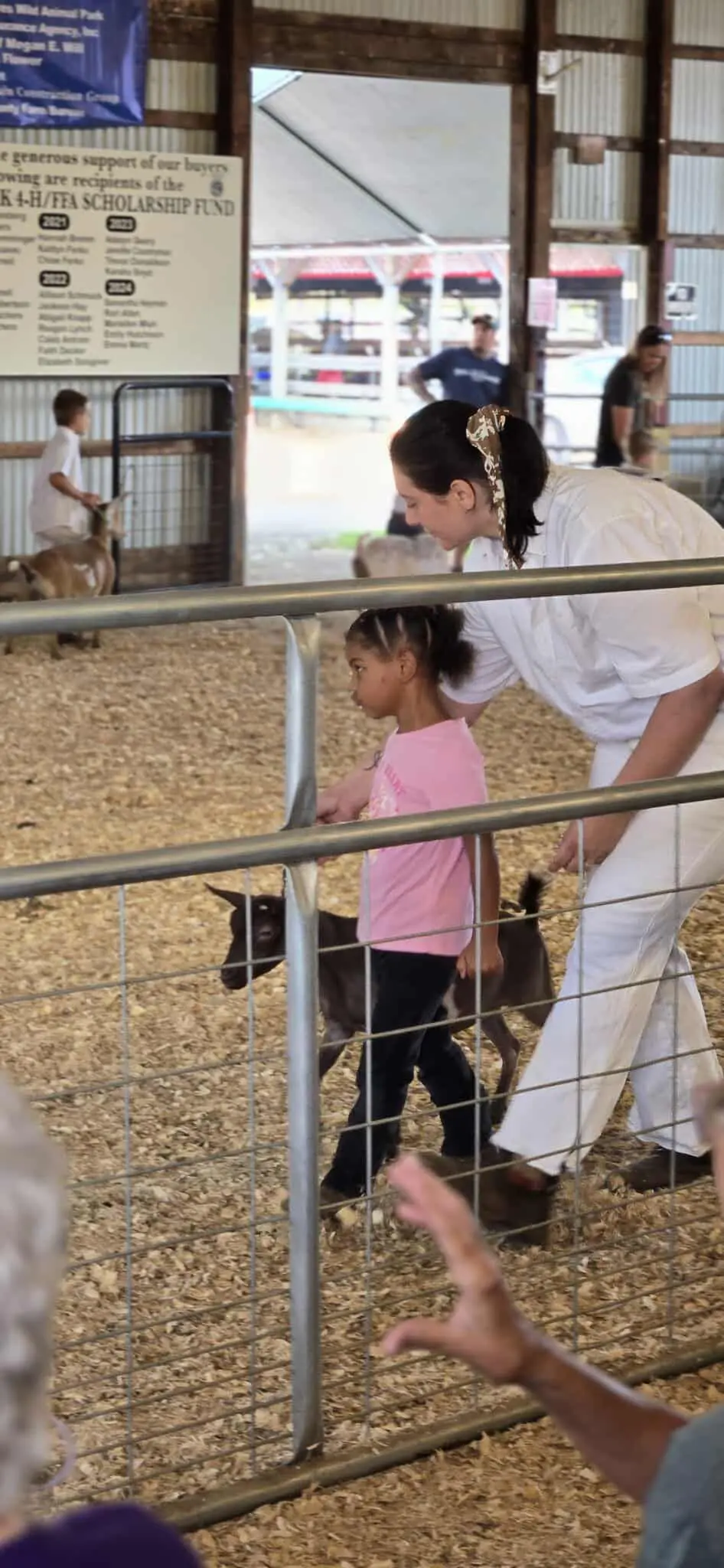Somerset County Fair 2025. photo 8