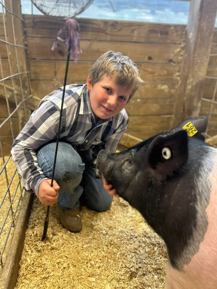 Somerset County Fair 2025. photo 82