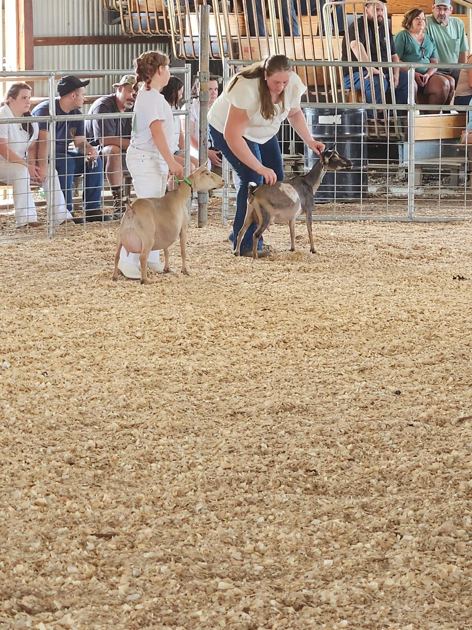 Somerset County Fair 2025. photo 84