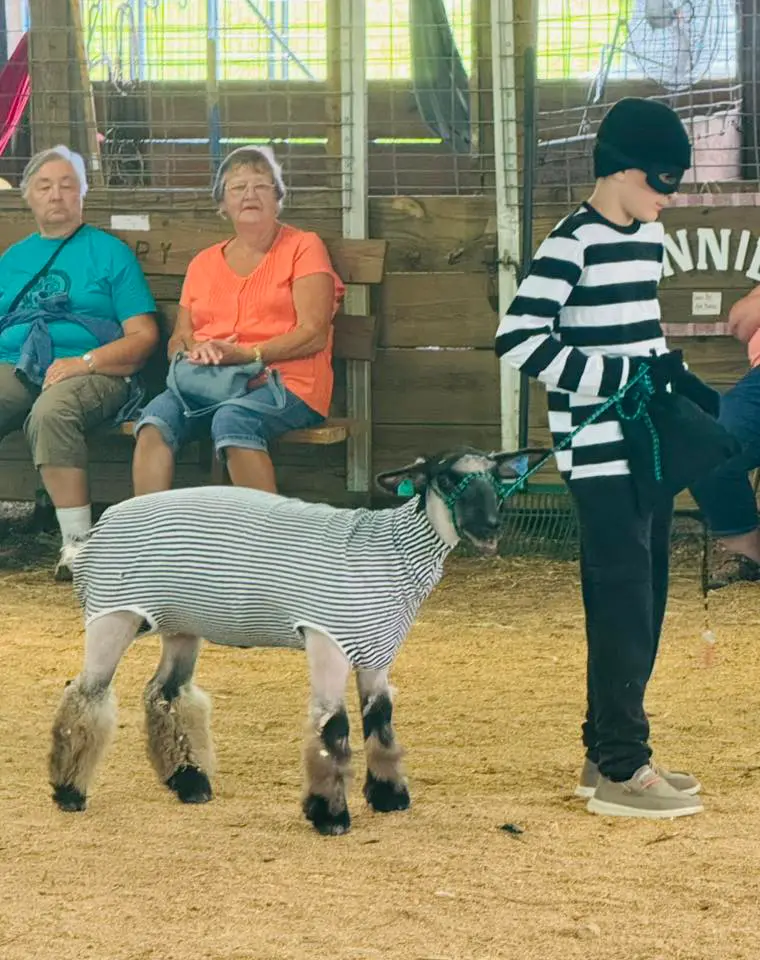 Somerset County Fair 2025. photo 87
