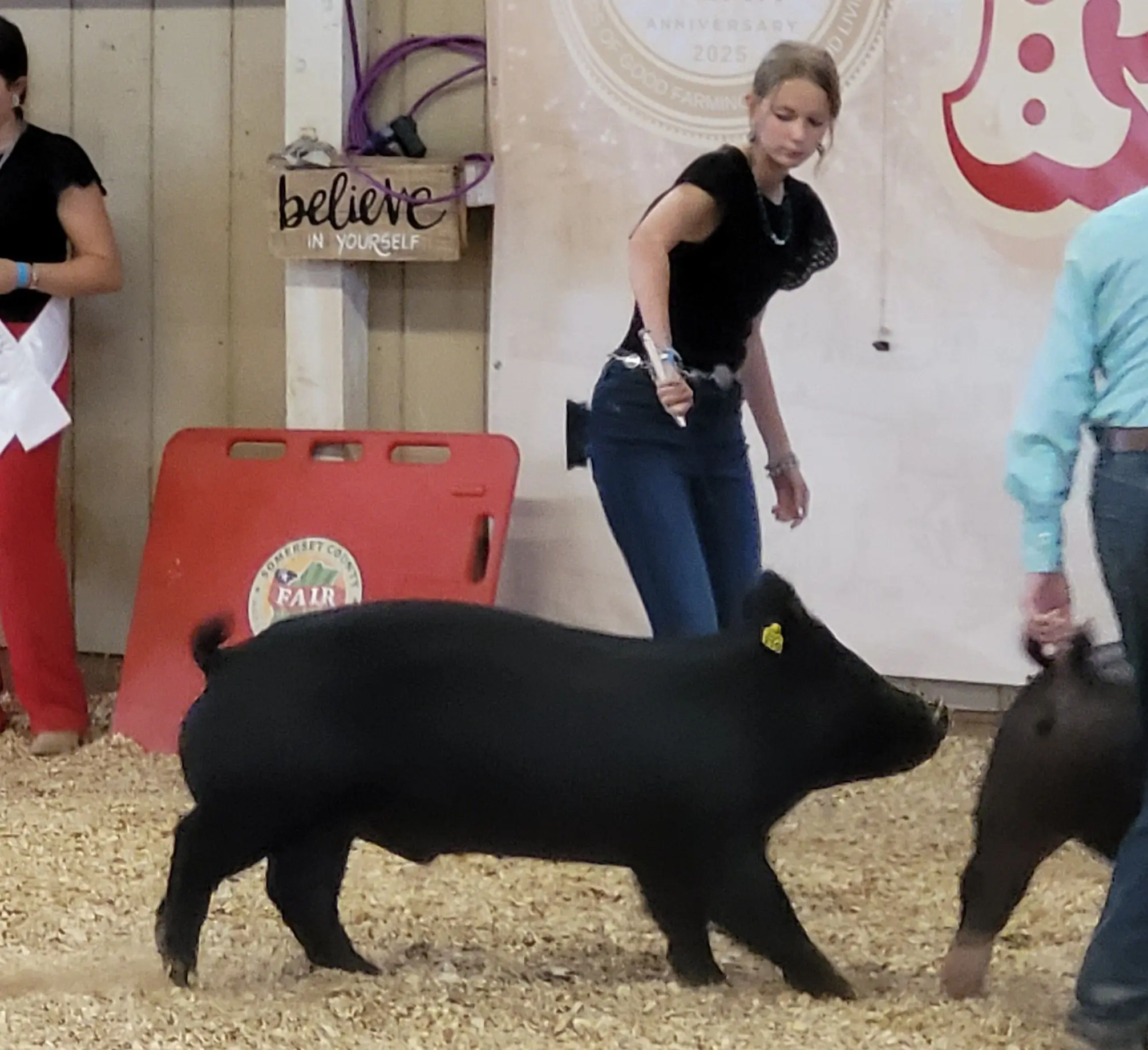 Somerset County Fair 2025. photo 98