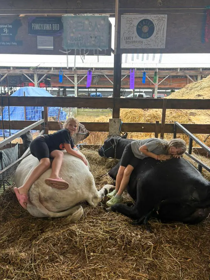 Somerset County Fair 2025. photo 99